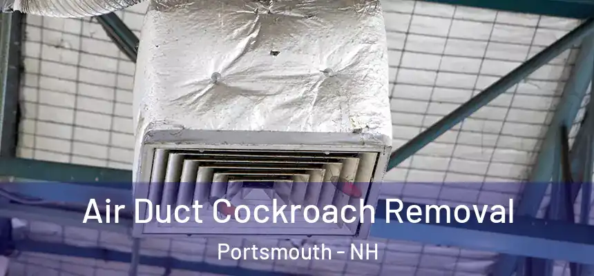  Air Duct Cockroach Removal Portsmouth - NH