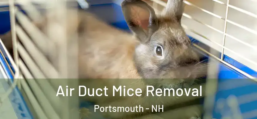  Air Duct Mice Removal Portsmouth - NH