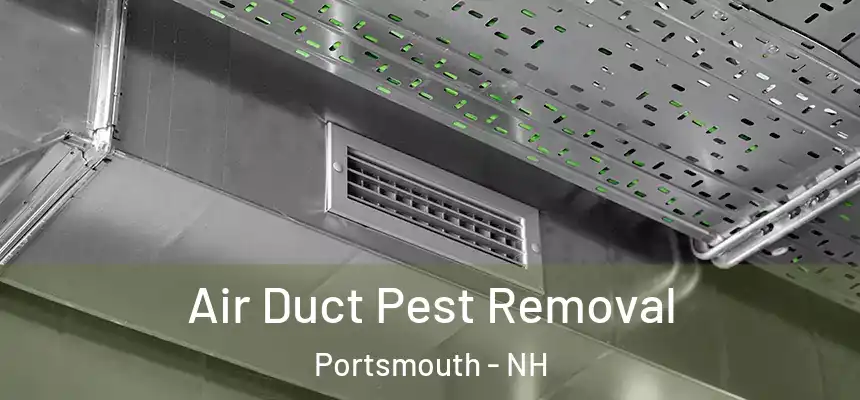  Air Duct Pest Removal Portsmouth - NH