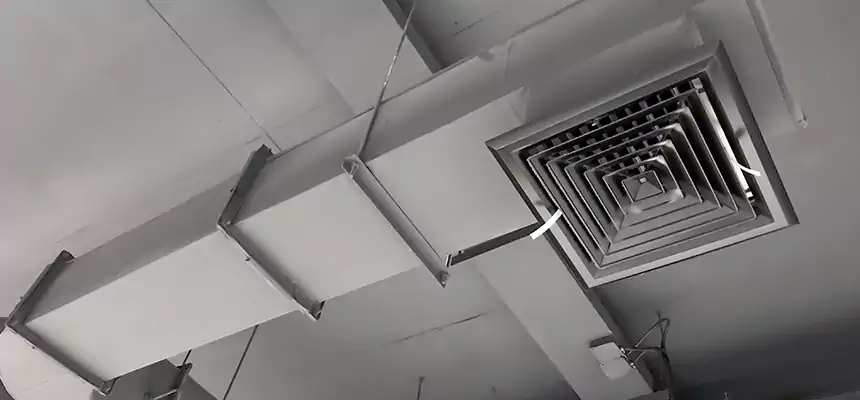 Our Pest Removal From Ducts Services in Portsmouth, NH