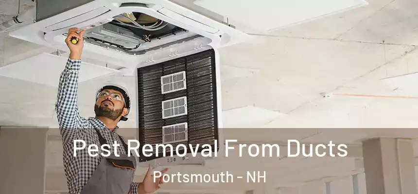  Pest Removal From Ducts Portsmouth - NH