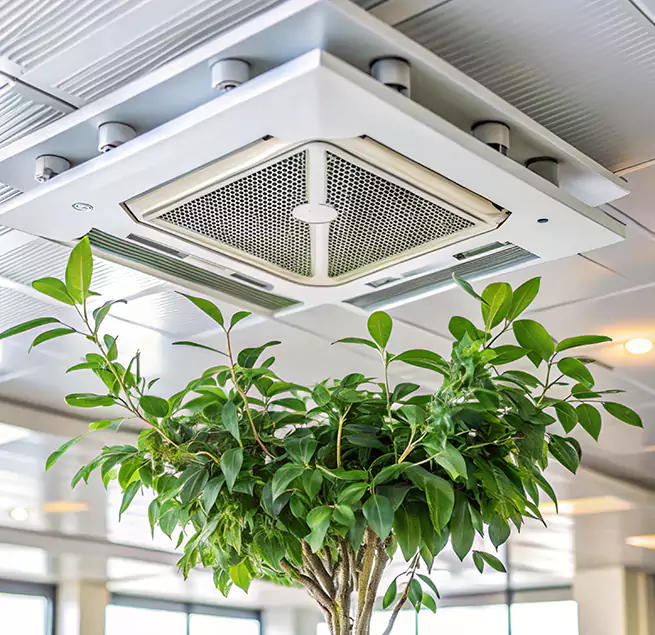 Why Homeowners & Businesses Trust Us in Portsmouth, NH?